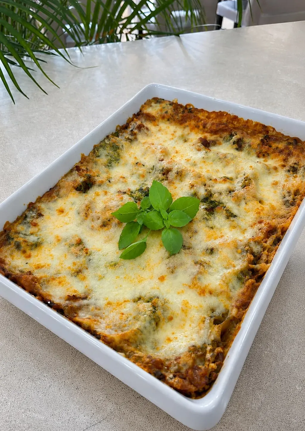 Vegetarian Dishes